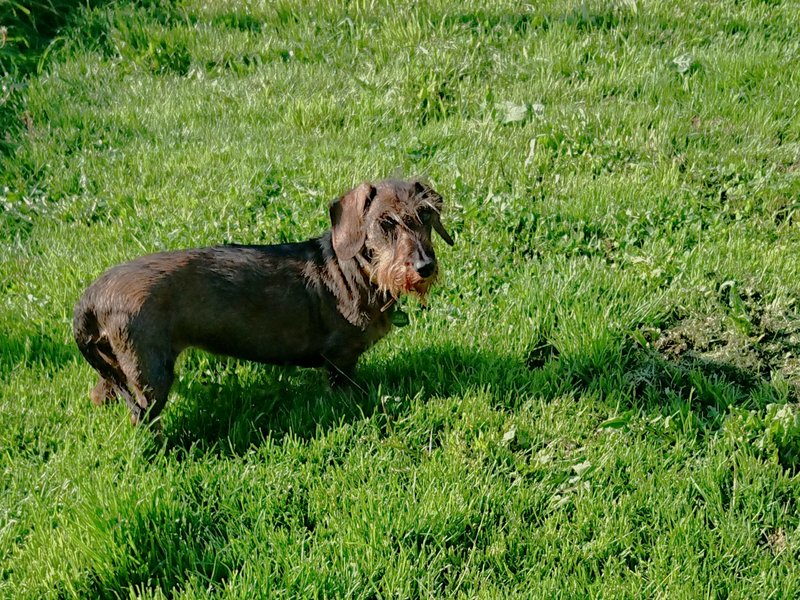 [Image: Florette.jpg]