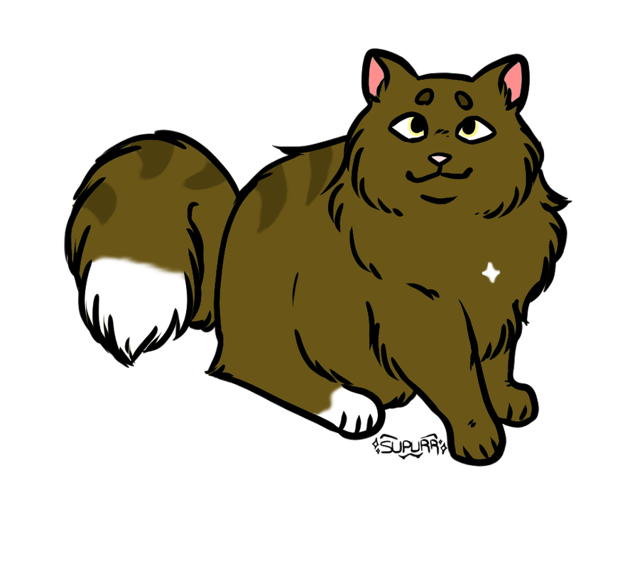 2024_12_28_0kw_Kleki.png