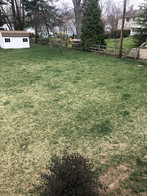 40A6123A-4D85-4EC6-A4D4-95A179C97C94