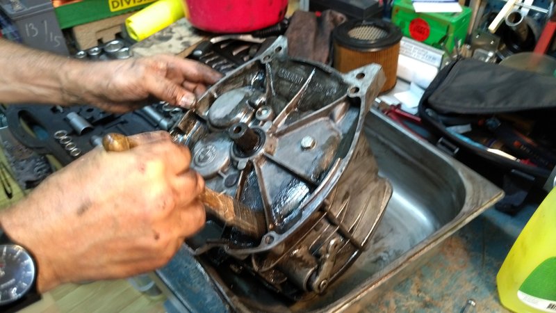 IMG-20170704-172652.jpg