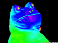 d5c110ea848c7c6645c6e7d2cdc85b74-w200.gif