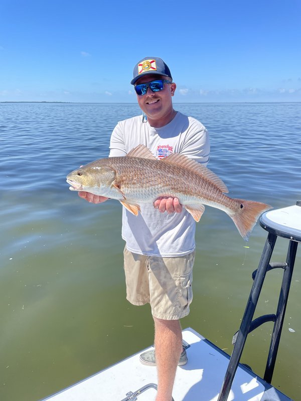 8F0FDB38-04A5-49D4-B1FF-27F663BD58D3