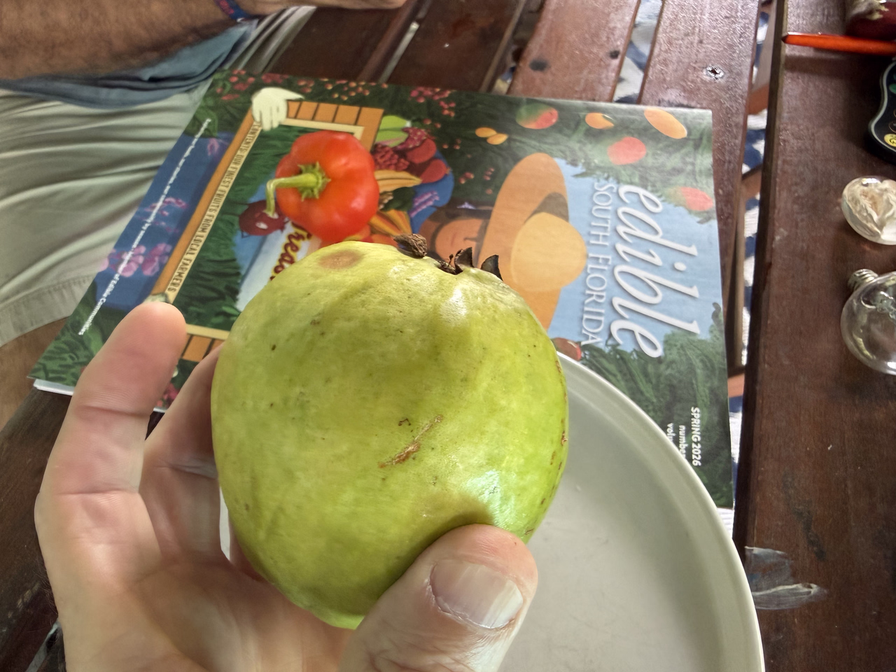 Guava Just Robs 5 26