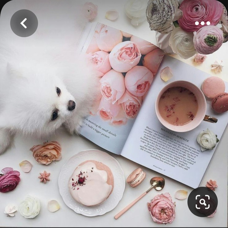 Screenshot_20230528_231253_Pinterest