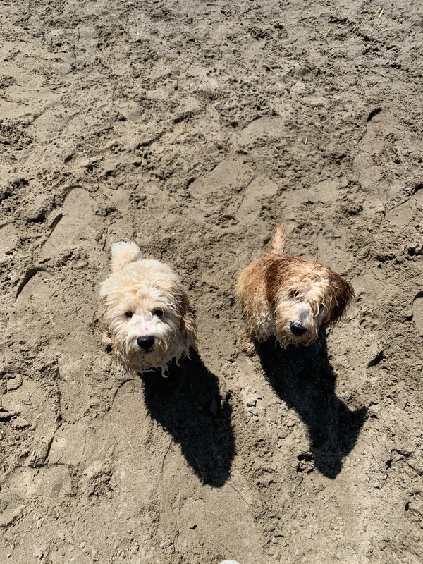 FBA29ADB-BA89-4225-80EA-D27B052D258F