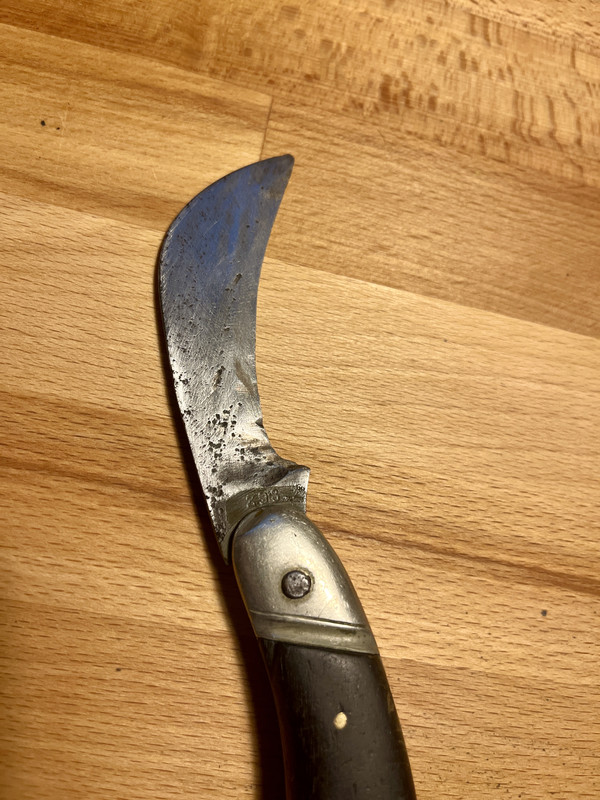 IMG_89F442D8-7C47-4BD7-8AAE-7B1CBC40B608