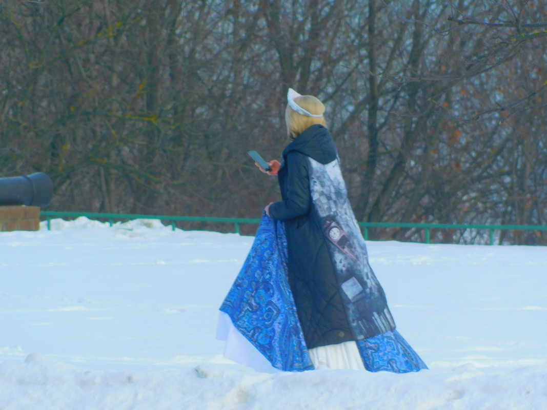 Февральское Коломенское 2023 037