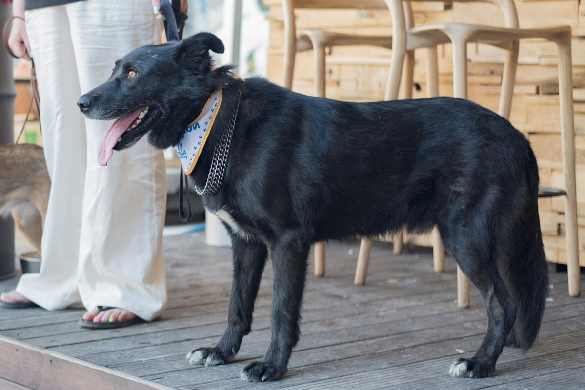 12-37-03-nX8AELbS0pI