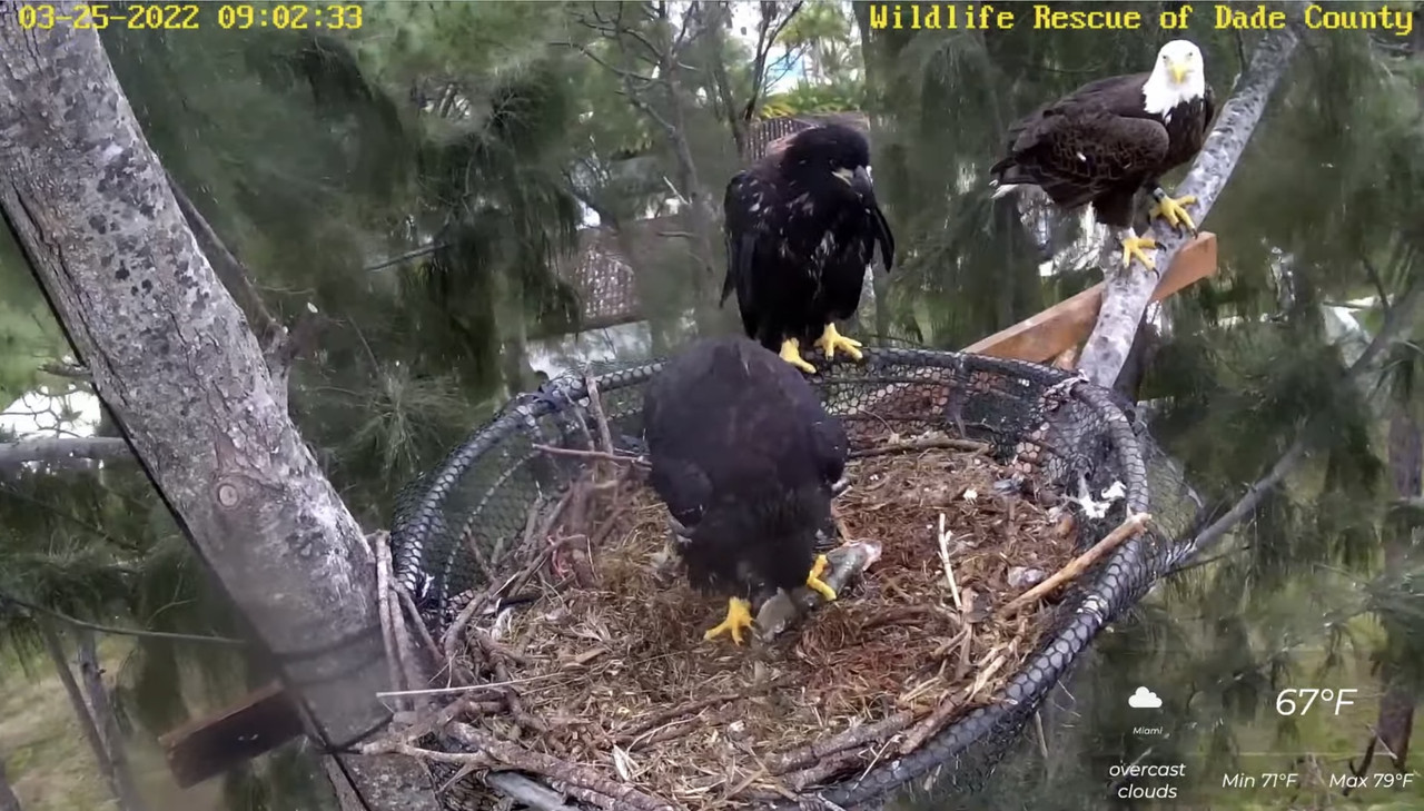 60A6303C-1D07-47C7-A34F-E8E3C7C8D872