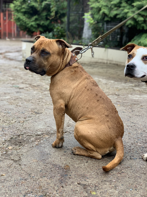 D841475F-3C5E-4A34-A134-F755647171A0