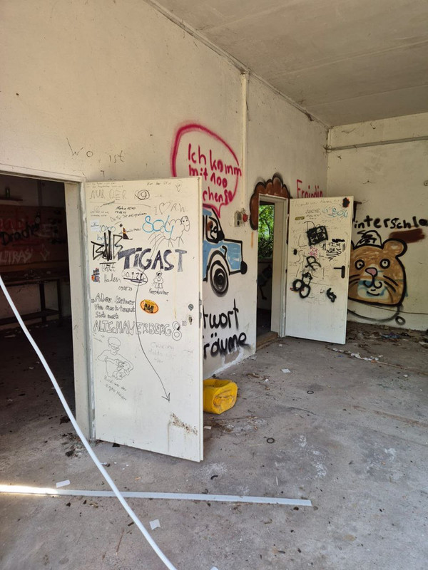 photo_5355242108765725187_y