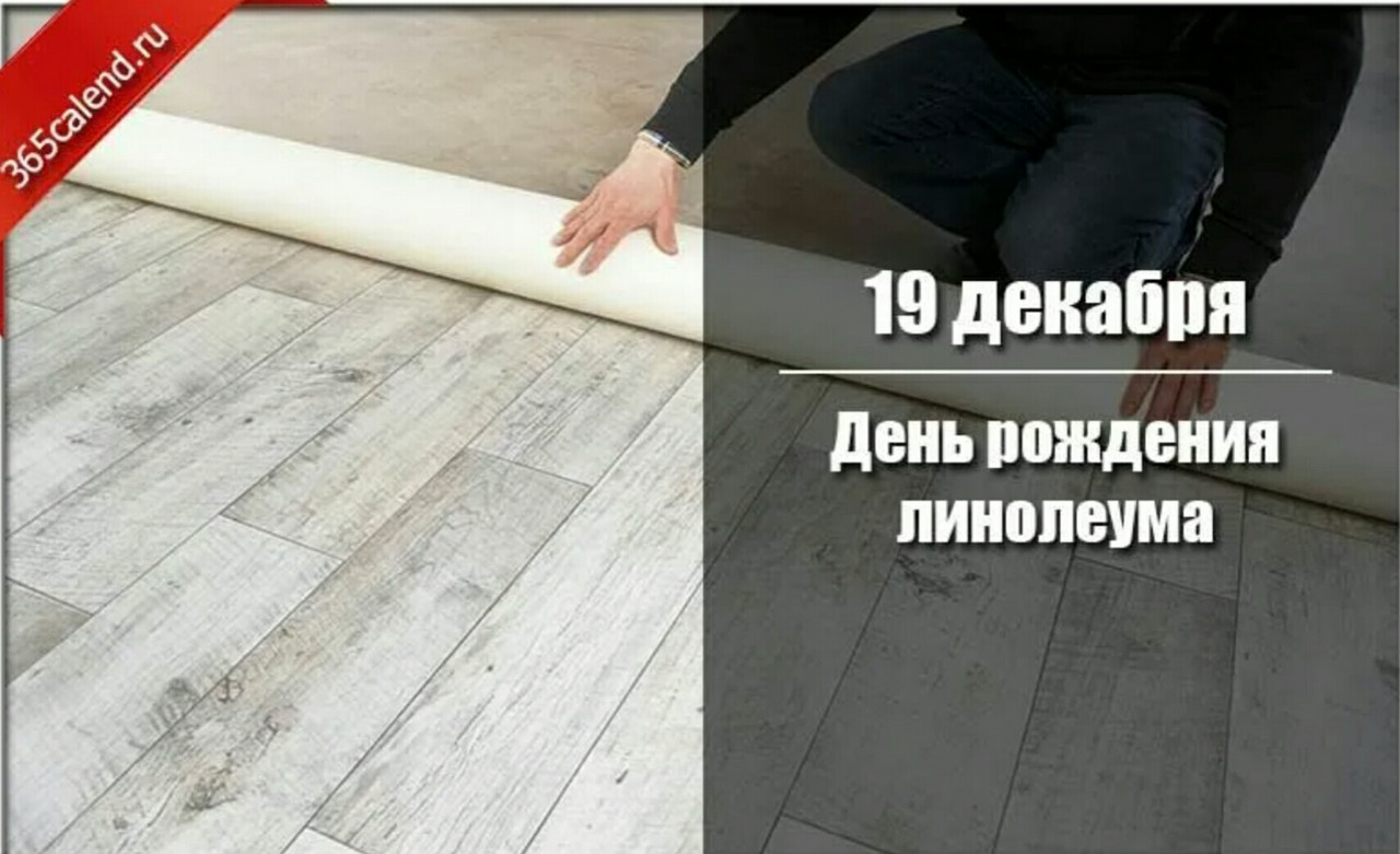 _20231219_115456