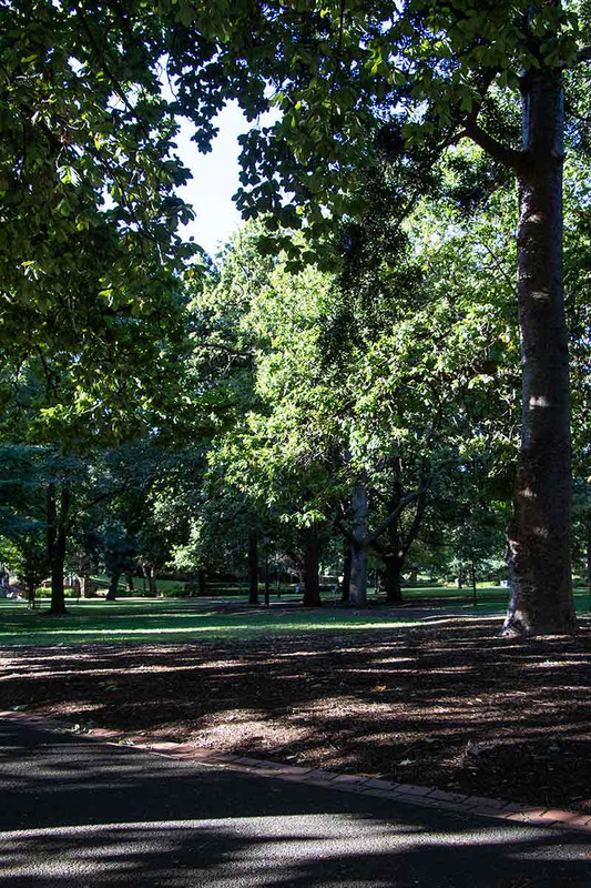 Rosalind Park