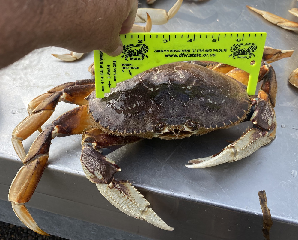 30E968EB-0C3E-4F30-A2C5-BB1B641C42B4