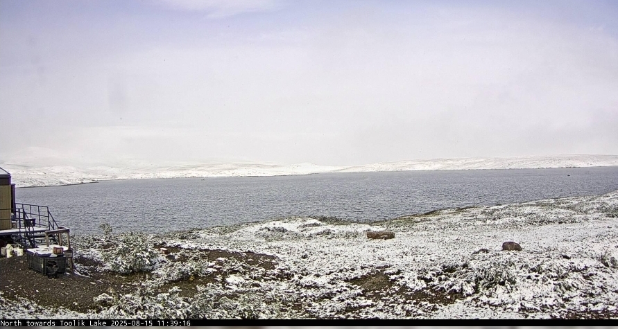 Screenshot-20250816-094628-Windy.jpg