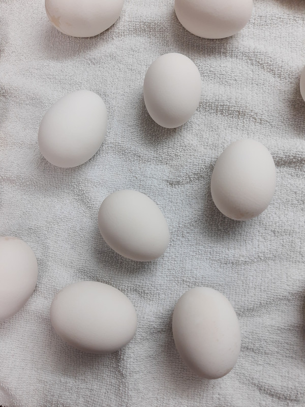 IMG_20220421_205334635