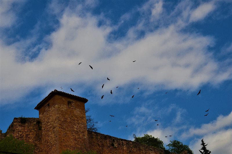 ALQUEZAR-19-4-2017-HUESCA - Los pueblos más bonitos de España-2010/2023 (98)