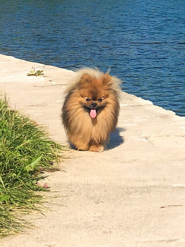 FCD6B321-B592-4F57-BD21-2EF6851C851C