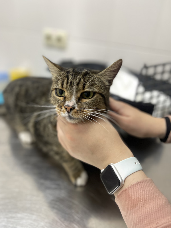 8B446530-42FA-4B90-861F-761E07DA301A