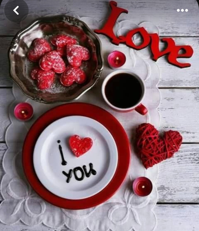 Screenshot_20240206_201250_Pinterest