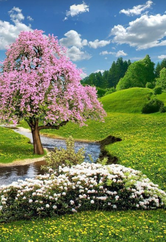 Screenshot_20240305_223418_Pinterest