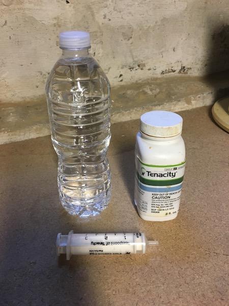 2017_Backyard_Seed_Down_Tenacity_1_small