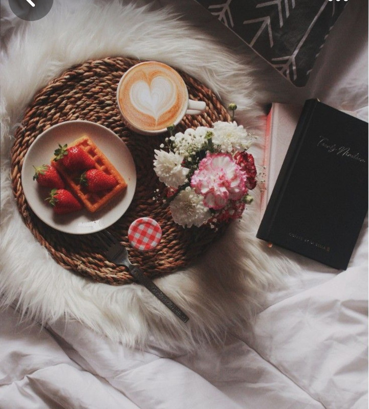 Screenshot_20230911_225041_Pinterest