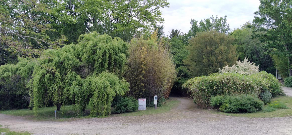 IMG_20230520_165041entrée--web