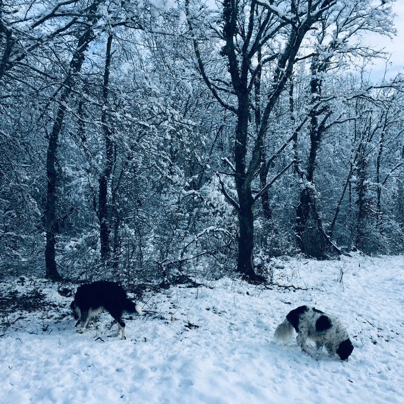 60C7DE3C-1BC8-4DD2-A7D9-0086D40809C3