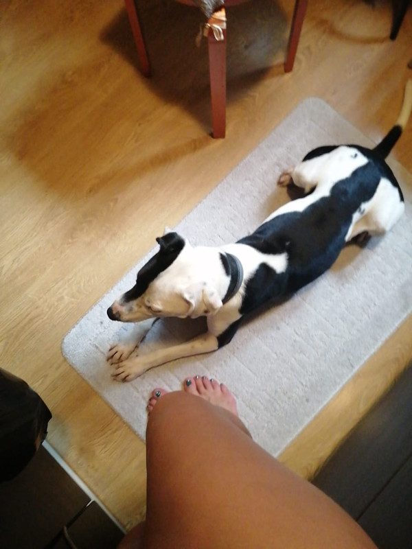 C064815D-24CF-41A0-9795-7B0AABC7FB21