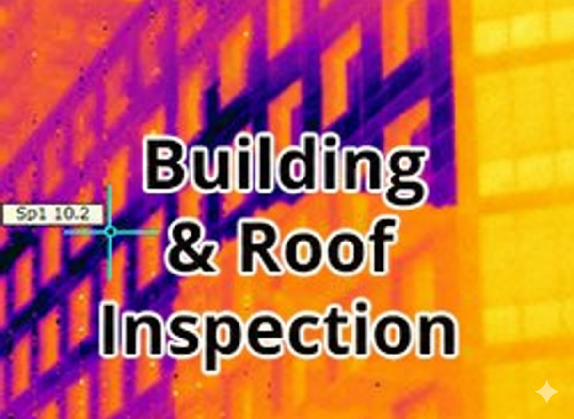 Pipeline & Lagging Inspection