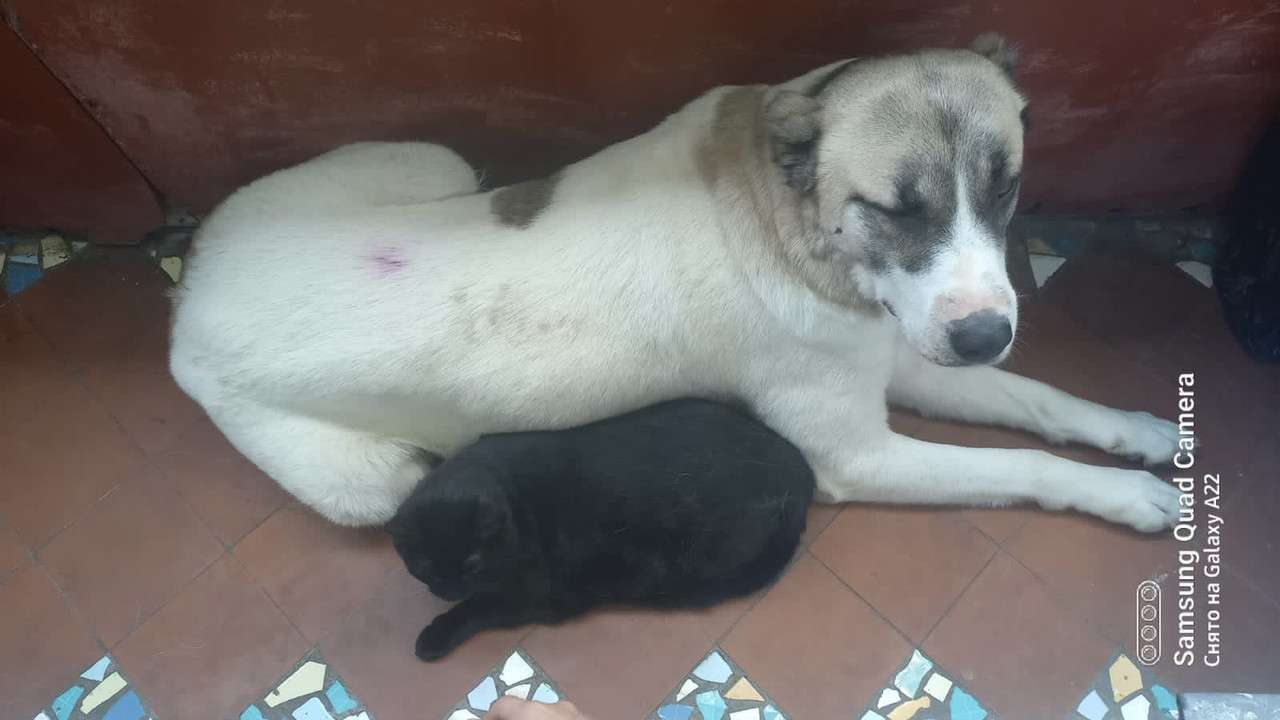 D7C7A722-640F-4F93-BD83-E78FD35168CE