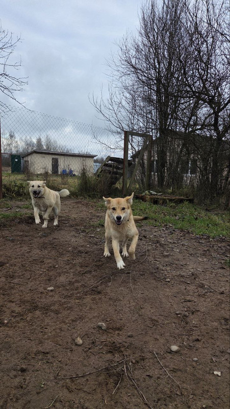 photo 2025 11 30 19 24 58