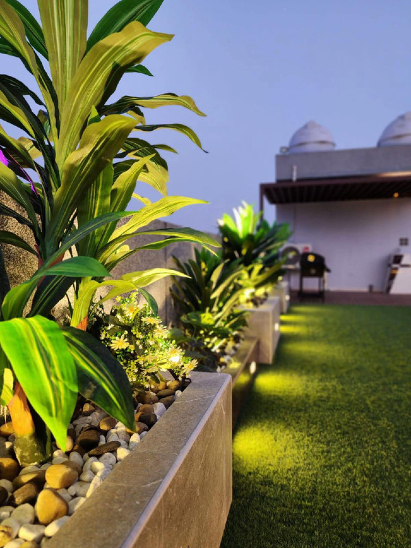 ممرات خشبية