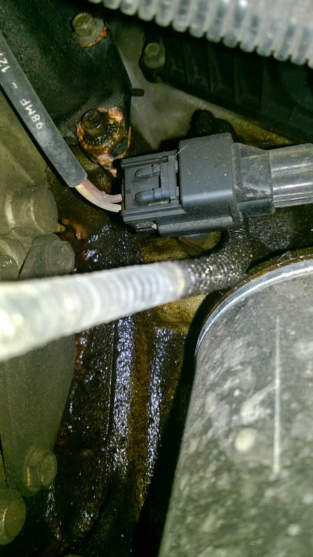 WP_20151203_18_25_06_Pro