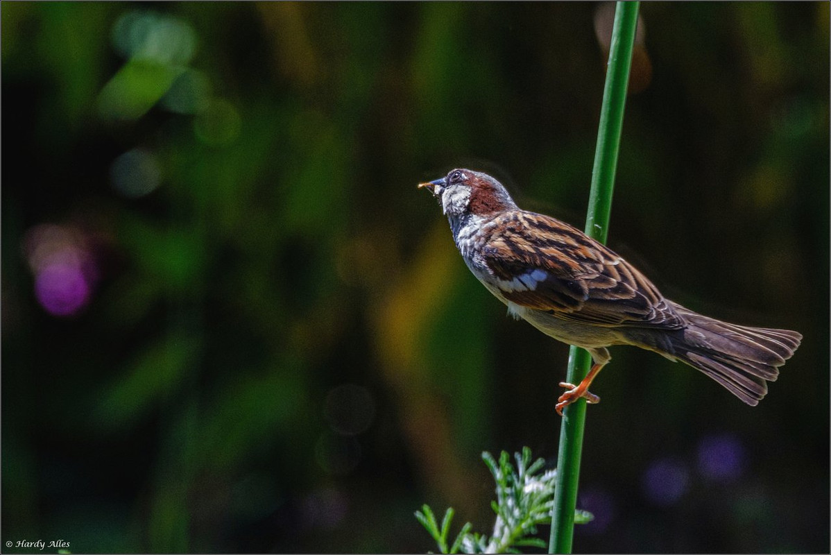 XT4H0548 2023 Gottwill LR ERWZ FB