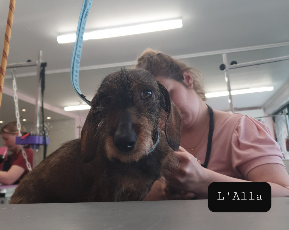 [Image: 20220513-171239.jpg]