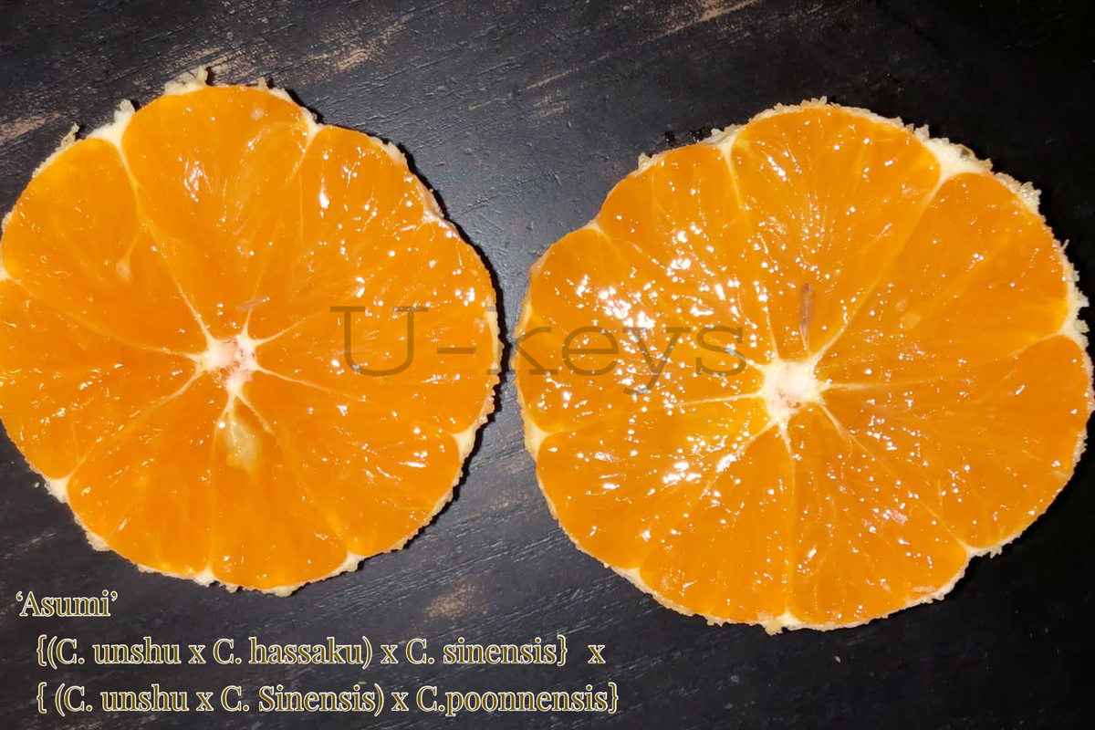 242C0398-AE68-44E0-8EF4-244BEF89DED8