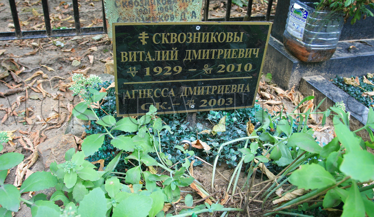 skvoznikov-vd