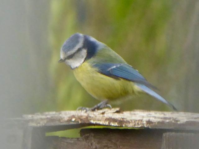 9209F69A-C665-4C1D-A721-915EF8BD55DD