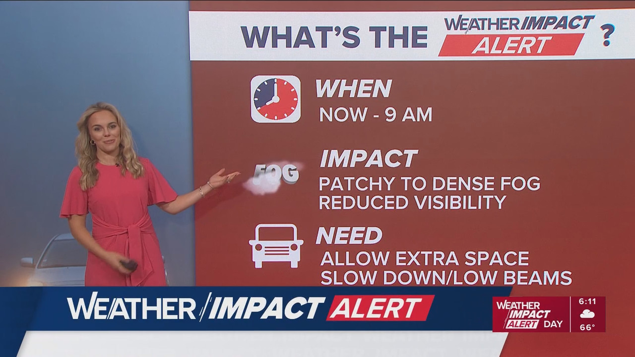 10 Tampa Bay News This Morning at 600 a m 20251124 11001200 ts snapshot 12 47 806