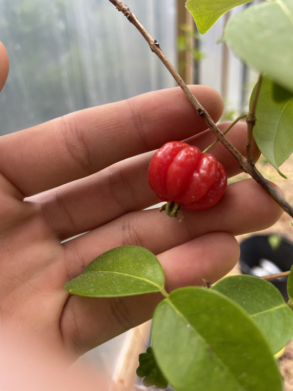 6DDDAD5E-677A-446F-B90D-B7AD0CB1A19C