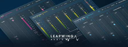 Leapwing Audio Bundle 2022.6 (x64)