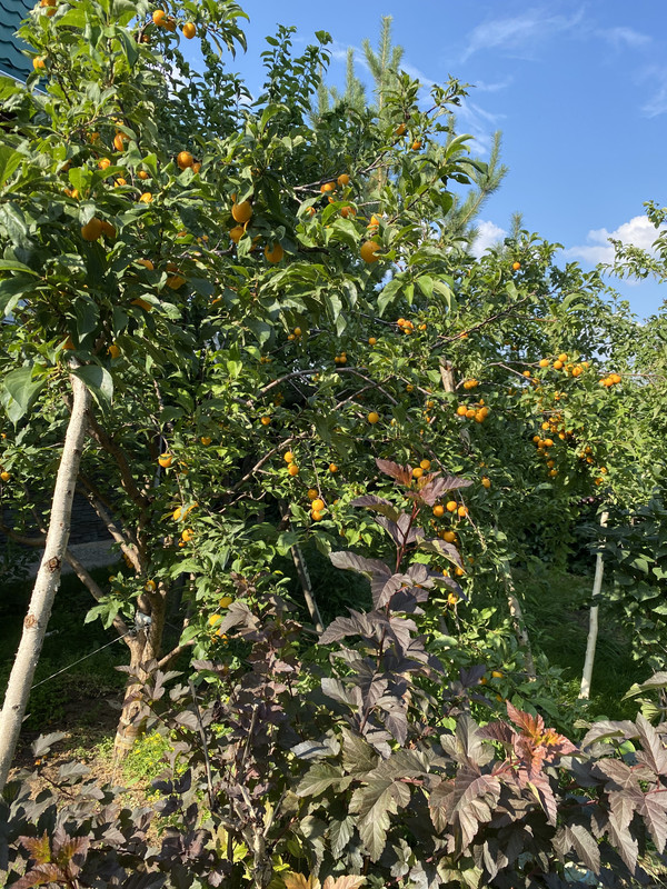 FB6112CD-1207-44FC-B6FC-7527995265FF