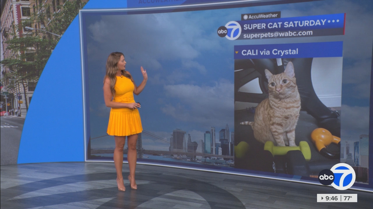 Eyewitness News This Morning_20250719_14001500.ts_snapshot_47.01.087