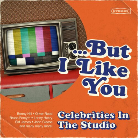 e455aa24 05ef 4e9f 8688 4005886b22f9 - VA - But I Like You Celebrities in the Studio (2022)