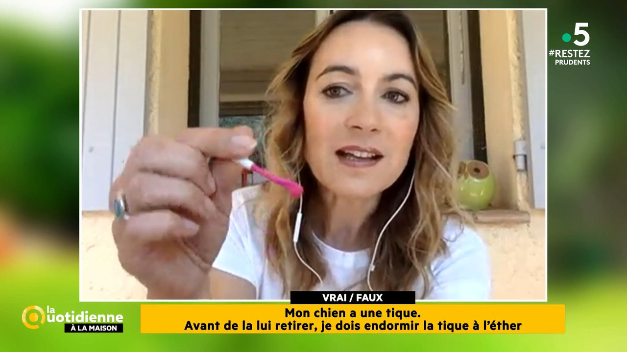 2020-05-27_11_55_Fr5_La-quotidienne.mp4_snapshot_00.21.57.576
