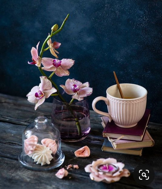 Screenshot_20230616_131111_Pinterest