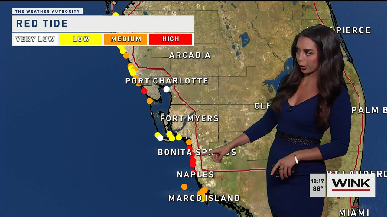03.06 - 17.00.00 - The WINK Noon News  ᴺᵉʷ. Midday news update..ts_snapshot_24.09.622