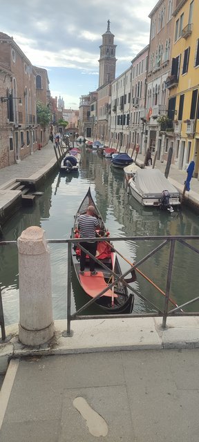 Pizcas de arte en Venecia, Mantua, Verona, Padua y Florencia - Blogs de Italia - Pateando Venecia entre iglesias y museos (22Kms) (115)